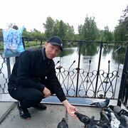 ���������� ������ �����, ���� ������� �����, 45 ���, ������������ ��� c�������� ���������