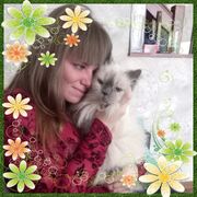 ���������� �����-���������, ���� ������� ������, 33 ����, ������������ ��� ����� � ���������, c�������� ���������