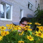 ���������� ������, ���� ������� �����, 44 ����, ������������ ��� ������, ����� � ���������, c�������� ���������