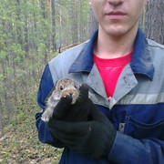  ,   , 37 ,   ,   , c 