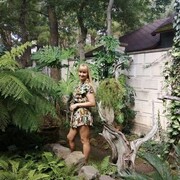 ���������� �������, ���� ������� �����, 44 ����, ������������ ��� ������, ����� � ���������, c�������� ���������