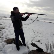   ,   Gev, 34 ,   ,   