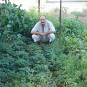 ���������� �����������, ���� ������� �����, 63 ����, ������������ ��� ������, ����� � ���������, c�������� ���������