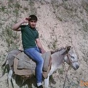  ,   Zoro, 34 ,   
