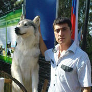 ���������� ������, ���� ������� �����, 37 ���, ������������ ��� ������, ����� � ���������, c�������� ���������