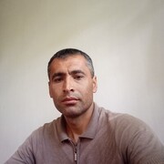  -,   , 43 ,     