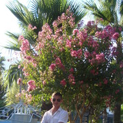 ���������� �����������, ���� ������� ����, 36 ���, ������������ ��� ������, ����� � ���������, c�������� ���������