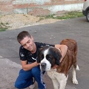 ���������� ������, ���� ������� �����, 37 ���, ������������ ��� c�������� ���������