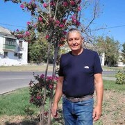  ,   , 66 ,   ,   , 