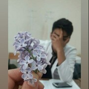 ���������� ������������, ���� ������� ��������, 27 ���, ������������ ��� ������, ����� � ���������, c�������� ���������, ���������