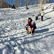  -,   , 41 ,   ,   , c 