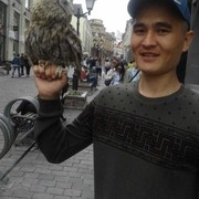 ���������� ������, ���� ������� ���������, 31 ���, ������������ ��� ������, ����� � ���������, c�������� ���������, ���������