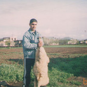  ,   Hovo, 42 ,     , c 