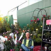  ,   , 56 ,   ,   , c , 