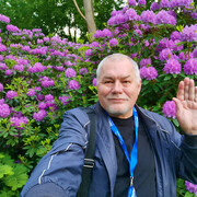 ���������� ������, ���� ������� ��������, 70 ���, ������������ ��� ����� � ���������