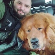 ���������� �������, ���� ������� �������, 37 ���, ������������ ��� ������, ����� � ���������, c�������� ���������