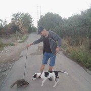 ���������� ���������, ���� ������� ������������, 43 ����, ������������ ��� ������, ����� � ���������, c�������� ���������