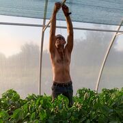 ���������� �����������, ���� ������� ���������, 41 ���, ������������ ��� ������, ����� � ���������