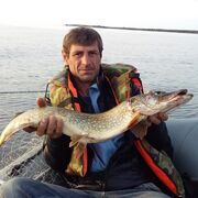 ���������� �����-���������, ���� ������� ���������, 49 ���, ������������ ��� ������, ����� � ���������