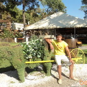 ,   , 38 ,     , c 