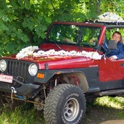 ���������� ������, ���� ������� ���������, 40 ���, ������������ ��� ������, ����� � ���������, c�������� ���������