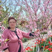 ���������� ������, ������� �������, 65