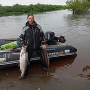  -,   , 53 ,  