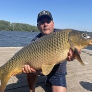 ���������� ������, ���� ������� �������, 58 ���, ������������ ��� ������, ����� � ���������