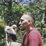 ���������� �����, ���� ������� �������, 33 ����, ������������ ��� ������, ����� � ���������, c�������� ���������