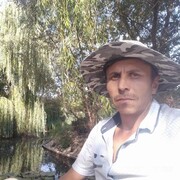  ,   , 44 ,   ,   