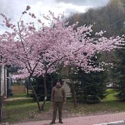 ���������� ���������-�������, ���� ������� ����������, 35 ���, ������������ ��� ������, ����� � ���������, c�������� ���������