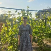 ,   , 46 ,   c 