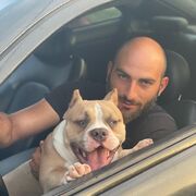 ���������� ���������, ���� ������� APHO��D, 31 ���, ������������ ��� ������, ����� � ���������