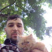 ���������� �������, ���� ������� �����, 40 ���, ������������ ��� ������, ����� � ���������