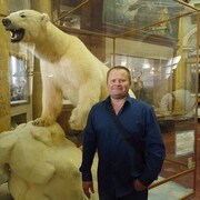 ���������� ������������, ���� ������� �����, 46 ���, ������������ ��� ������, ����� � ���������