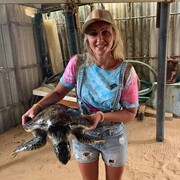 ���������� �����������, ���� ������� ����, 40 ���, ������������ ��� ����� � ���������, c�������� ���������