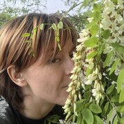 ���������� �����������, ���� ������� ����, 37 ���, ������������ ��� c�������� ���������, ���������