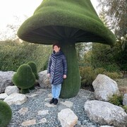 ���������� ���������, ���� ������� ����, 67 ���, ������������ ��� ������, ����� � ���������