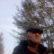 ���������� ����������, ���� ������� �����, 48 ���, ������������ ��� ����� � ���������, c�������� ���������, ���������