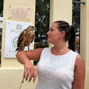  -,   , 29 ,   