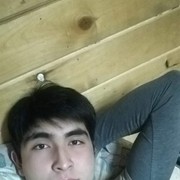  ,   Timur, 31 ,   ,   , c , 