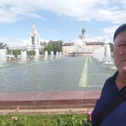  -,   , 51 ,   ,   