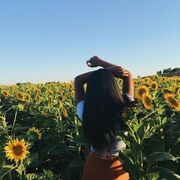 ���������� �����, ���