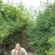 ���������� �����������, ���� ������� ���������, 43 ����, ������������ ��� ������