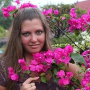 ���������� ����, ���� ������� ���������, 38 ���, ������������ ��� ������, ����� � ���������, c�������� ���������