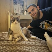 ���������� ������, ���� ������� �����, 26 ���, ������������ ��� ������, ����� � ���������, c�������� ���������, ���������