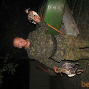  ,   Kostsan, 55 ,     , c 
