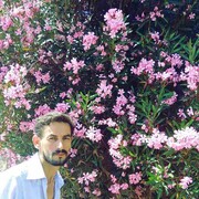  Algiers,   Sadek, 45 ,   ,   , c , 