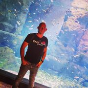 ���������� �����, ���� ������� ������, 41 ���, ������������ ��� ����� � ���������, c�������� ���������, ���������