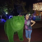  ,   , 55 ,   ,   